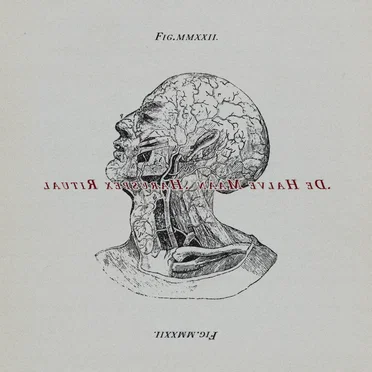 Fig. MMXXII. by Haruspex Ritual - album cover