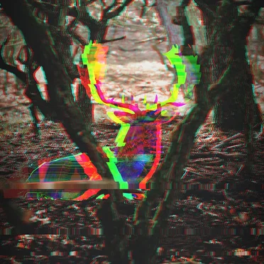 Noisthis