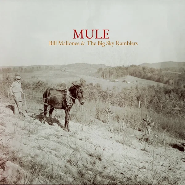 MULE