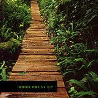 Rainforest