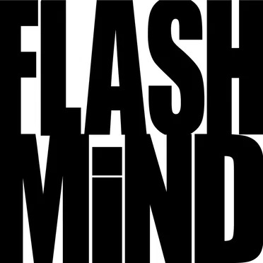 Diskozinzin (Flashmind remix) by Flashmind - album cover