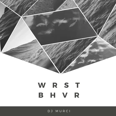 W R S T B H V R