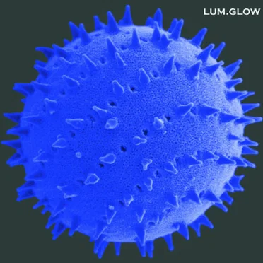 Glow by Lum - album cover