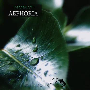 Aephoria by Dimmat - album cover