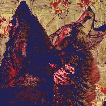 Twin Wolf by Twin Wolf - album cover