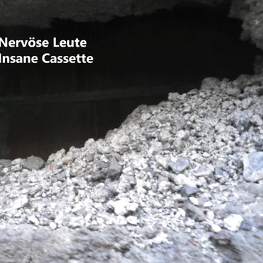 Insane Cassette by Nervöse Leute - album cover