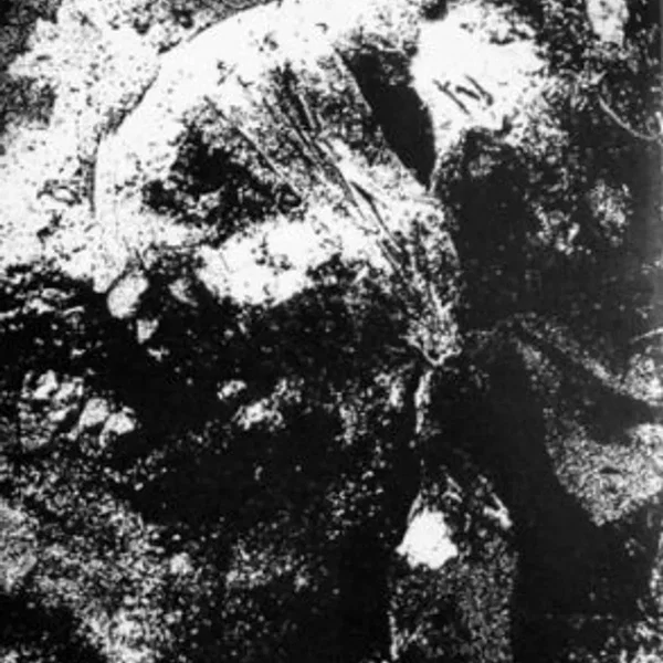 Darkness Enshrouded the Mist / Mons Veneris