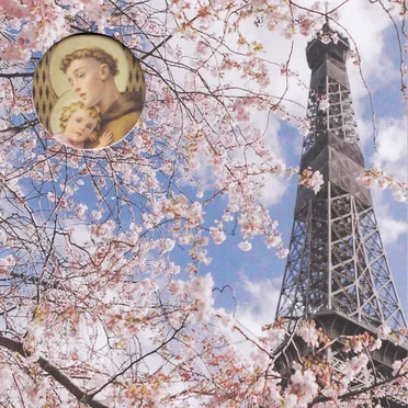 Avenue With Trees (A Second Language Cornucopia) by Various Artists - album cover