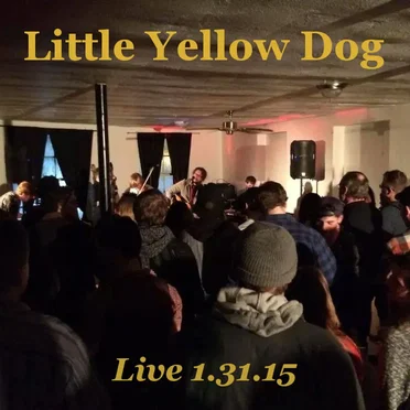 Little Yellow Dog Live