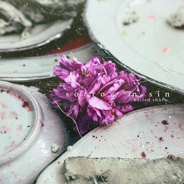 Sorrow in Sin by Nailed Shut MA - album cover