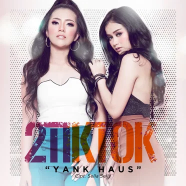 Yank Haus by 2TikTok - album cover