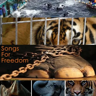 Songs for Freedom by Various Artists - album cover
