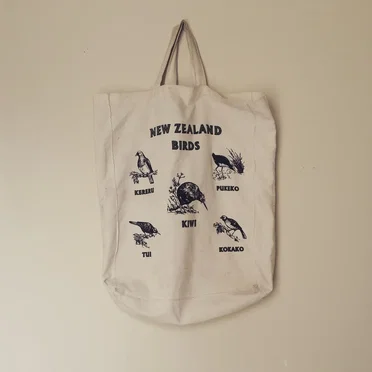 New Zealand Birds - A Wellington Music Compilation by Various Artists - album cover