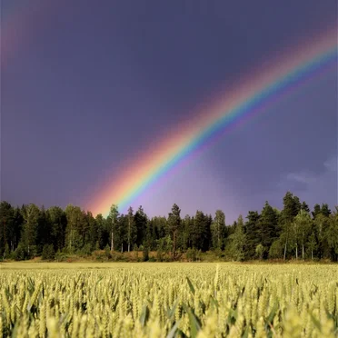 Everything Fell Away and I Left Myself Behind