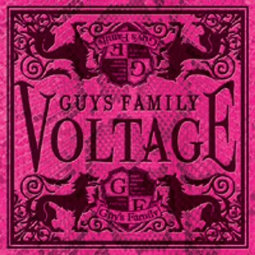VOLTAGE