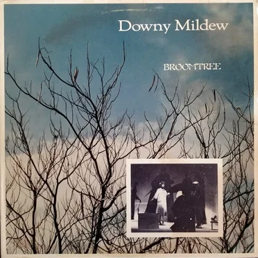 Broomtree by Downy Mildew - album cover