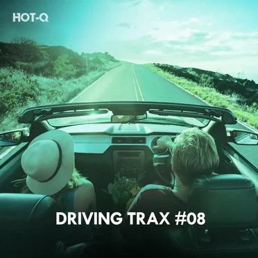 Driving Trax, Vol. 08 by Various Artists - album cover