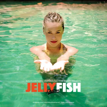 Jellyfish