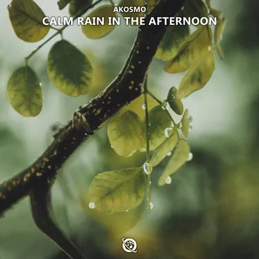 Calm Rain in the Afternoon