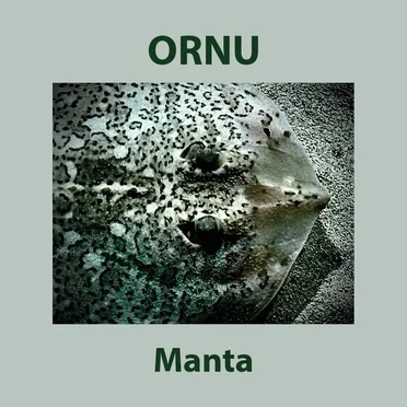 Manta