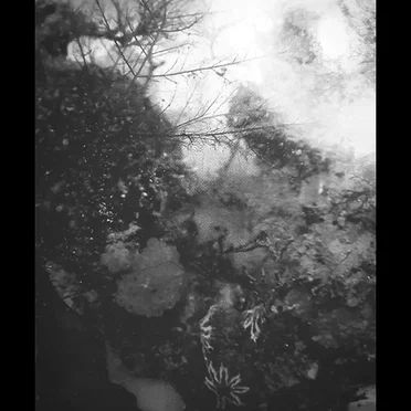 Go Then, Fearless One!