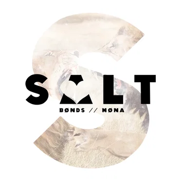 Bonds / Mona by Salt - album cover