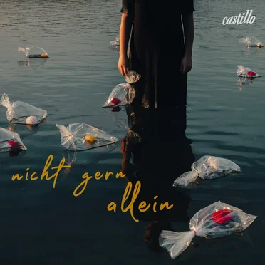 Nicht gern allein by CASTILLO - album cover