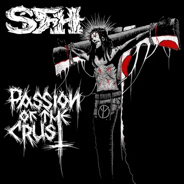 The Fucking Split by Star Fucking Hipsters - album cover