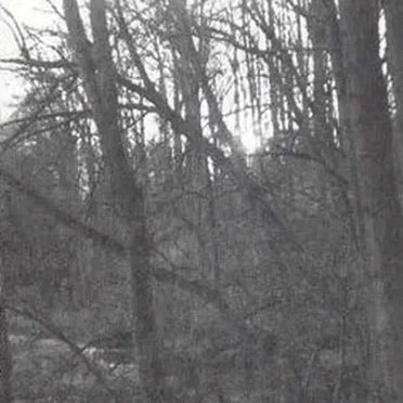 Autumnal Depression / The Honour of My Blood