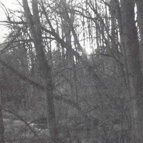 Autumnal Depression / The Honour of My Blood