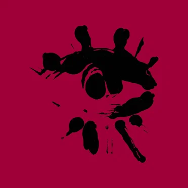 RISE by The Backlash - album cover