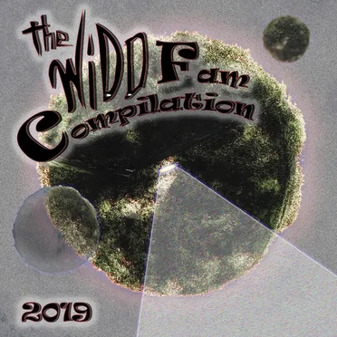 The Widdfam Community Compilation 2019 by Various Artists - album cover