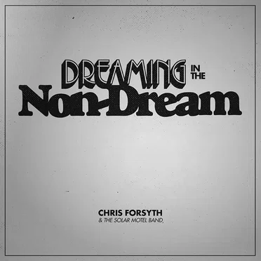 Dreaming In The Non-Dream by Chris Forsyth & The Solar Motel Band - album cover
