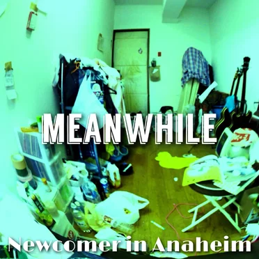 Meanwhile by Newcomer in Anaheim - album cover