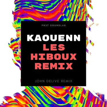 Les Hiboux Remix by Kaouenn - album cover