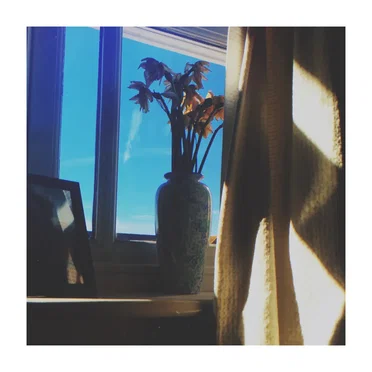 Everyone Else by Pure Sky - album cover