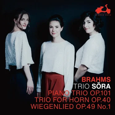 Brahms: Piano Trio Op. 101, Trio for Horn Op. 40, Wiegenlied & Op. 49 No. 1