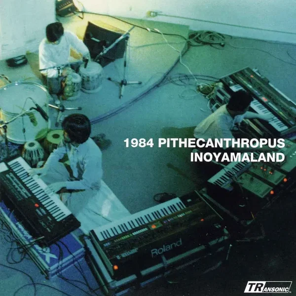 1984 PITHECANTHROPUS
