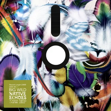 Native Echos