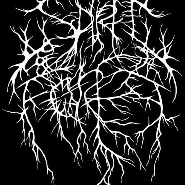 A Brew of Lightning and Terror by Spirit of the Forest - album cover