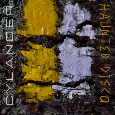 Haunted Disco LP 2 by Cylander - album cover