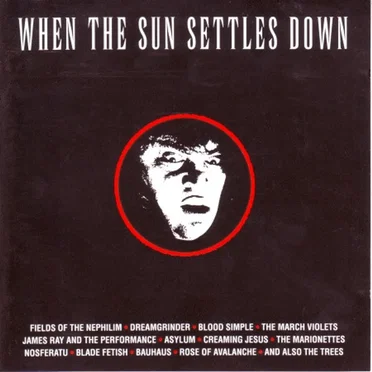 When the Sun Settles Down by Various Artists - album cover