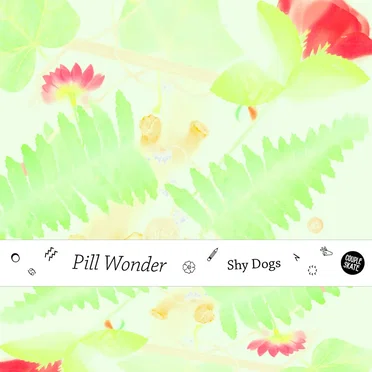 Shy Dogs by Pill Wonder - album cover
