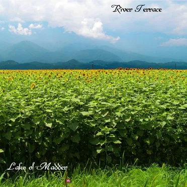 River Terrace by Lake of Madder - album cover