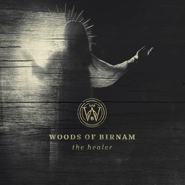 The Healer by Woods of Birnam - album cover