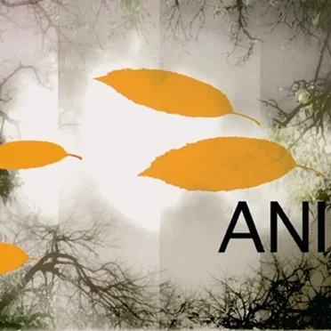 ANI