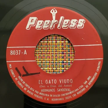 El gato viudo / Fortinguita