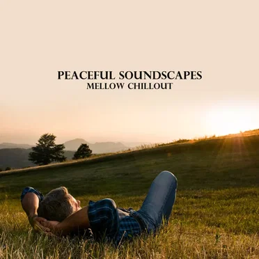 Peaceful Soundscapes: Mellow Chillout by Various Artists - album cover
