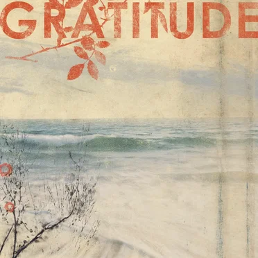 Gratitude by Gratitude - album cover