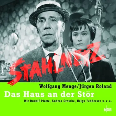 Stahlnetz: Das Haus an der Stör by Wolfgang Menge - album cover